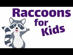 Raccoons for Kids | Homeschool Pop