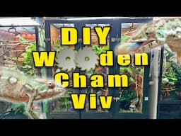 DIY Bioactive Wooden Cham Vivarium Part 1 (The Build)