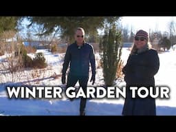 Winter Garden Tour! | Highlighting Winter Standouts and Talking Winter Plant Care