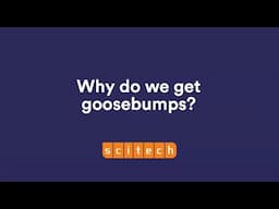 Why do we get goosebumps? | Scitech WA