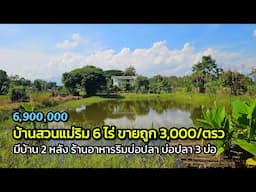 บ้านสวนแม่ริม โฉนด 6 ไร่ ขายถูก 3,000/ตรว.  สวนเกษตรผสมผสาน พร้อมบ้าน 2 หลัง ร้านอาหาร บ่อปลา 3 บ่อ