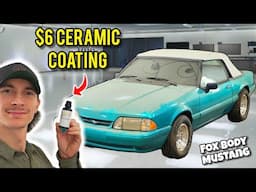 Using $200 Worth of TEMU Detailing Tools to Detail Dirty Mustang | ASMR DETAILING