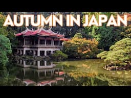 The BEST Places In Japan To See Fall Colors | Plan Your Trip NOW For The Best Experience