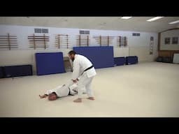 Todd Beesley - Aikido Sandan Demonstration - May 2024