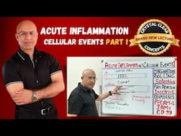 Acute Inflammation Cellular Events | Margination | Immunology | Part 1