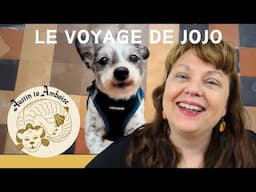 Ep.21: My dog's first international flight - living in France with a dog