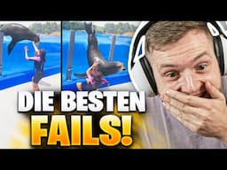 🤯😱Die KRASSESTEN FAILS aus 10 JAHREN INTERNET! - REAKTION | Trymacs Stream Highlights