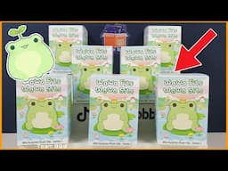 WAWA FROG PLUSHIES! Wawa Fits Wawa Sits Mini Surprise Plush Clip Series 1 Mystery Blind Box