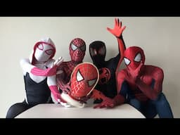 SpiderGwen Surprise NEW EDITION SPIDERMAN TOBEY MAGUIRE MASK to Spiderman Bros