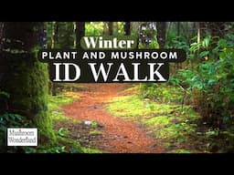 Winter Plant and Mushroom ID walk- Feb 2025