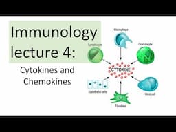 Immunology Lecture 4 | Cytokines and Chemokines | Toll like receptor signaling NFkB