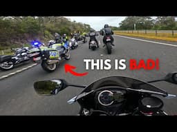 Chaos on the Road to the 2024 Phillip Island MotoGP!