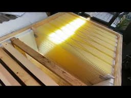 Horizontal hives with flow frames