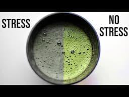 Matcha Green Tea Helps Relieve Stress IF (and only if)... | Health Effects of Matcha Part 1 #shorts