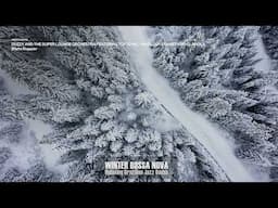 Bossanova Jazz Covers | The Best Cool Music | Winter Bossa Nova