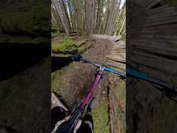 ✨accidentally✨ gapping to a skinny #insta360 #insta360x4 #insta360mtb