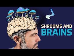 Your Brain on Mushrooms (The Science Explained)