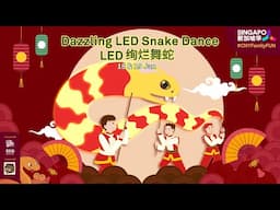 Dazzling LED Snake Dance LED  绚烂舞蛇