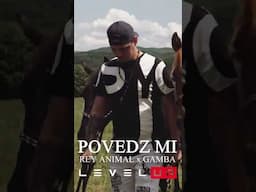 Povedz mi #shorts #reels #gamba #reyanimal #povedzmi #newvideo #musicvideo #drone #subscribe