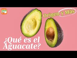 El Aguacate: Del Pasado a Tu Mesa.