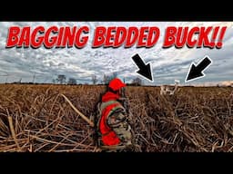 Michigan Deer Hunting CATAIL SWAMP | BUMP and DUMP Bedded Swamp Buck!!