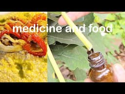 FIGLEAF OIL AND FIGLEAF SAP TINCTURE NATURE'S GIFT  | Connie's RAWsome kitchen