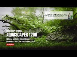 120cm Nature Aquarium: Aquascape Setup Tutorial, Inspired by ADA "Green Heaven"