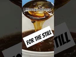 Manuka honey for the still #manuka #ho ey #mead #distilling