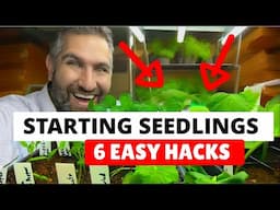 6 Easy Seed Starting Hacks For Faster Growth!