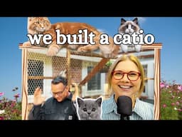 Building a CATIO...a safe, outside enclosure for cats & indoor sanity for humans. A Farcical Fable!