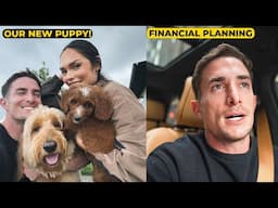 New Puppy Problems & Wealth Management