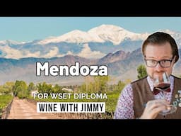 Argentina Wine Regions: North & East Mendoza Explained | WSET Diploma D3 Tips