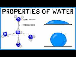 Properties of Water