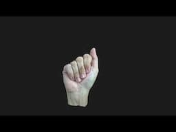 Fingerspelling screensaver (35 minutes of fingerspelling, starts slow, speeds up) (Lifeprint.com)