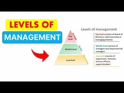 Levels of Management in an Organization