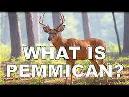 DO YOU KNOW WHAT PEMMICAN IS?