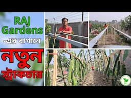 RAJ Gardens-এর নতুন বাগানে আধুনিক স্ট্রাকচার। Build a Low Cost Modern Trellis for Dragon fruits