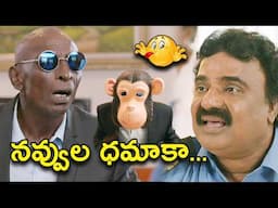 గుండు బాస్ నవ్వుల ధమాకా | Veera Shivaji Movie Telugu Comedy Scene | bhavani Comedy Bazaar