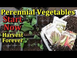 3 Perennial (Rhubarb, Artichokes, Asparagus) Vegetables to Start Indoors & Harvest Forever!