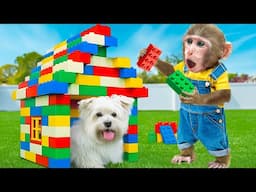 KiKi Monkey built a House for Adopt Pet Puppy like a pro with LEGO Bricks Toy Set | KUDO ANIMAL KIKI