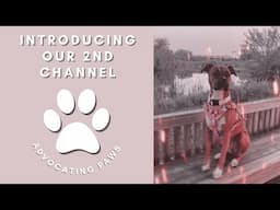 Introducing our 2nd channel | Advocating Paws