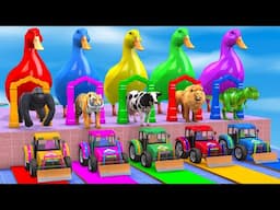 Long Slide Game With Cow Elephant Gorilla Tiger Dinosaurs - 3d Animal Game - Funny 3d Animals