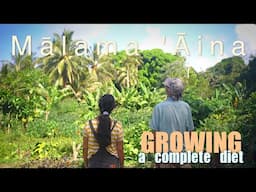 Incredible Permaculture Food Forest Tour - Big Island, Hawaii