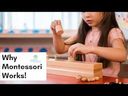 Why Montessori Works