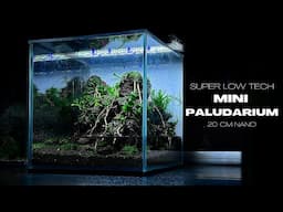 How To Make A Low Tech Paludarium | Step by Step Tutorial