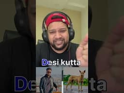 Dhuruv rathi vs elvish yadav || elvish yadav desi kutta ?