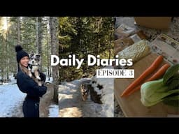 week in my life, pcos tests, day in whistler | daily diaries ep.3