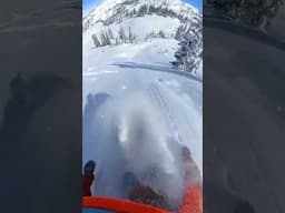 Huge backflip skiing into deep powder