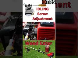 This is How to Adjust/Tune the Idling on your Weed Eater! (by Craig Kirkman)