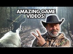 WILD ANIMALS On The Ridge!!! | Amazing Trail Camera VIDEOS From November & December